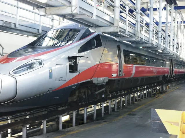 Transport